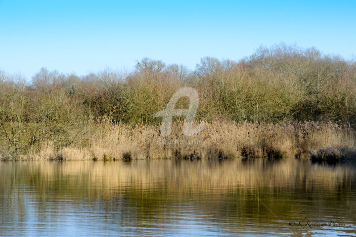 Photographie intitulée "SOLOGNE" par Karine Revillon, Œuvre d'art originale