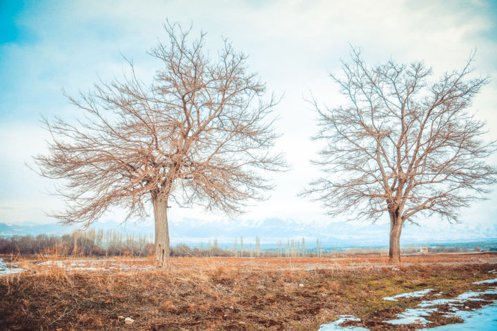 Fotografia intitolato "Winter Between Frie…" da Reza Fardinfar, Opera d'arte originale, Fotografia digitale