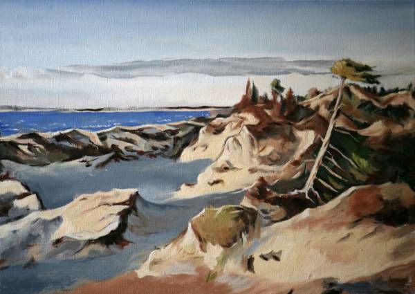 Pintura intitulada "Ocean Beach" por Gennadi Finkelstein (rfmetro), Obras de arte originais, Óleo