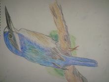 Painting titled "kingfisher" by Rohit Juneja, Original Artwork
