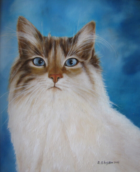 Painting titled "witte kat" by Ria Strijker, Original Artwork, Oil