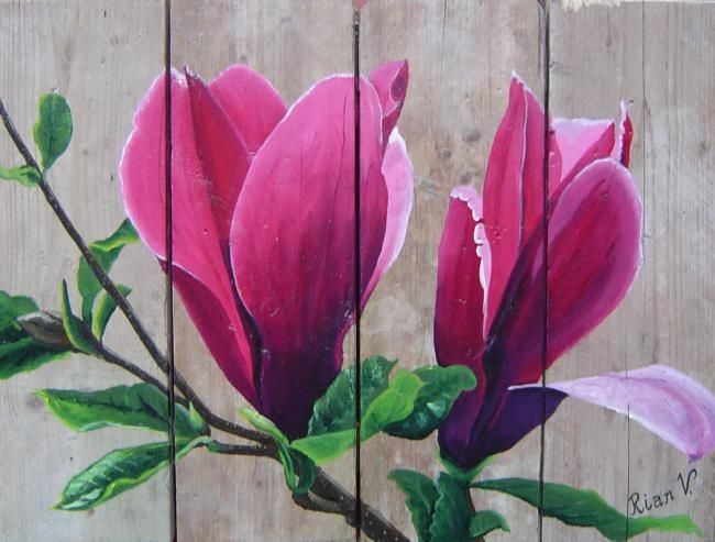 aankomst Verbieden open haard Magnolia, Schilderij door Rian Verbeek-De Lincel | Artmajeur