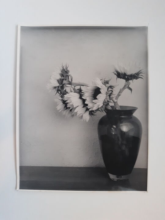 Photography titled "Sunflowers" by Richard Eugene Puckett, Original Artwork, Analog photography Mounted on Other rigid panel