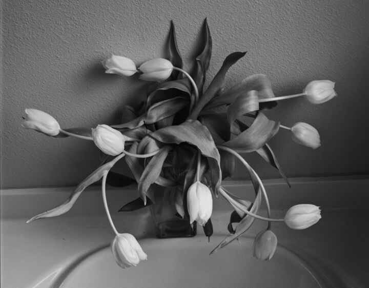 Photography titled "Tulips" by Richard Eugene Puckett, Original Artwork, Analog photography