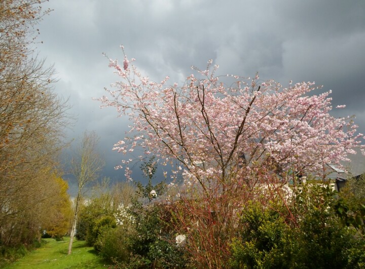 Photographie intitulée "Printemps" par Richard Gillet, Œuvre d'art originale, Photographie numérique