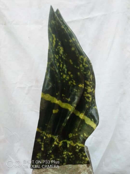 Scultura intitolato "Aloe Vera" da Richard Mupumha, Opera d'arte originale, Pietra