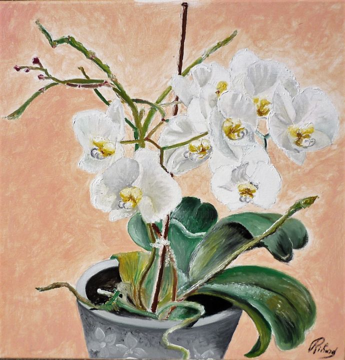 Painting titled "Orchidées blanches" by Dominique Richard, Original Artwork, Oil