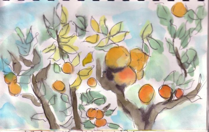 Dessin intitulée "oranger" par Rina Curiel, Œuvre d'art originale