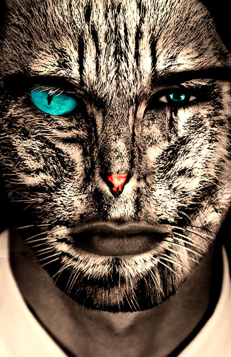 Digital Arts titled "Cat Man" by Riss, Original Artwork, Photo Montage