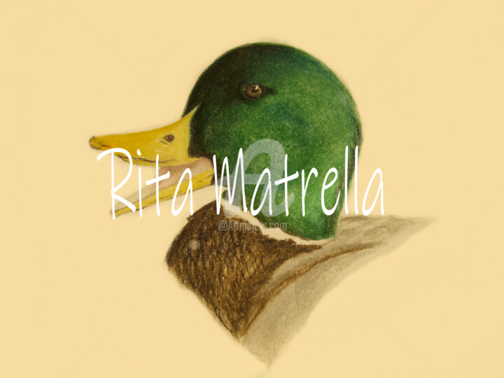Gravures & estampes intitulée "Ritratto di germano…" par Rita Matrella, Œuvre d'art originale