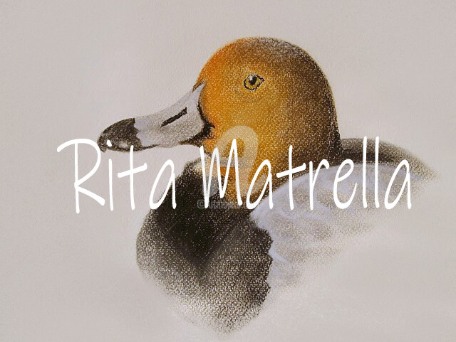 Gravures & estampes intitulée "Ritratto di Anatra" par Rita Matrella, Œuvre d'art originale