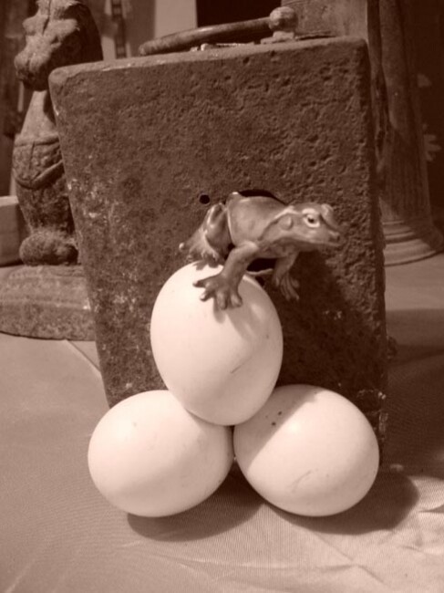 Fotografie mit dem Titel "Frog & eggs" von Rob Arbouw, Original-Kunstwerk