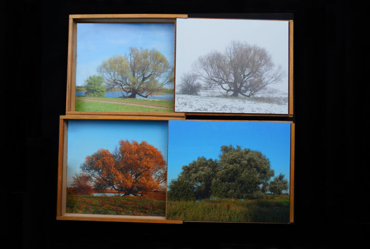 Collages titled "Vier-seizoenen (Vel…" by Rob Chevallier, Original Art,