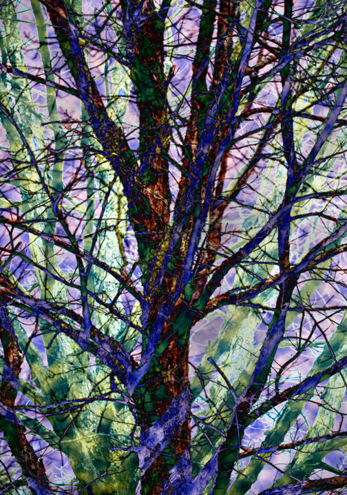 Digitale Kunst mit dem Titel "Clouded Trees" von Robbi Ling Montgomery, Original-Kunstwerk, 2D digitale Arbeit