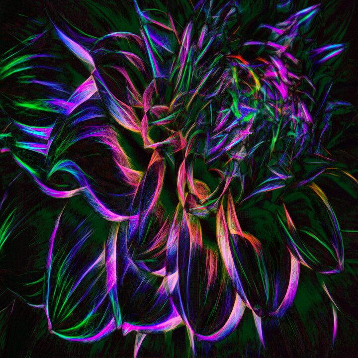 Digital Arts titled "Dahlia in Neon 2" by Robbi Ling Montgomery, Original Artwork