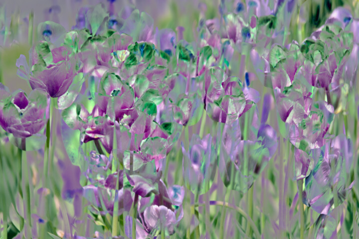 제목이 "Floral Montage"인 디지털 아트 Robbi Ling Montgomery로, 원작, 2D 디지털 작업