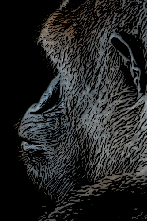 Digital Arts titled "Gorilla in Profile" by Robbi Ling Montgomery, Original Artwork, Digital Photography