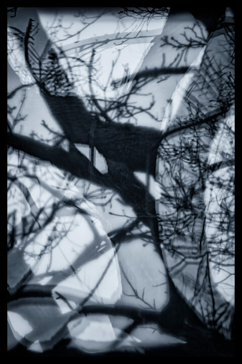 Photographie intitulée "Branches in Old Gla…" par Robbi Ling Montgomery, Œuvre d'art originale, Photographie numérique