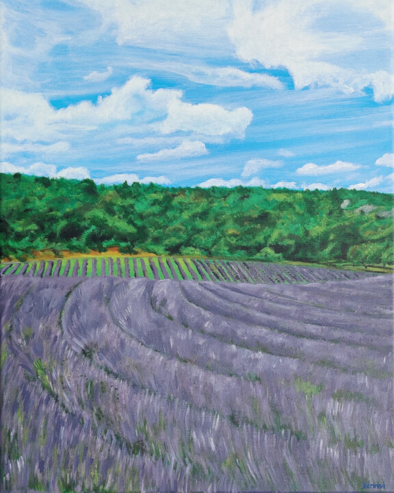 Schilderij getiteld "lavender field" door Róbert Bánrévi, Origineel Kunstwerk, Acryl Gemonteerd op Frame voor houten brancard