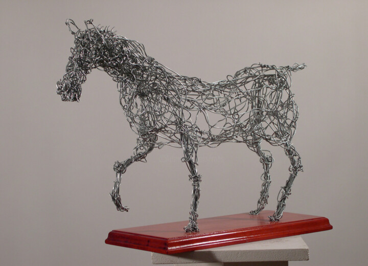 Escultura titulada "cheval fil de fer" por Robert Chevalier, Obra de arte original