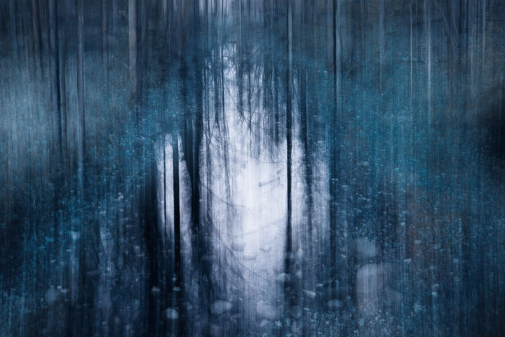 Photography titled "Tree Reflections" by Robert D Atkinson, Original Artwork, Digital Photography