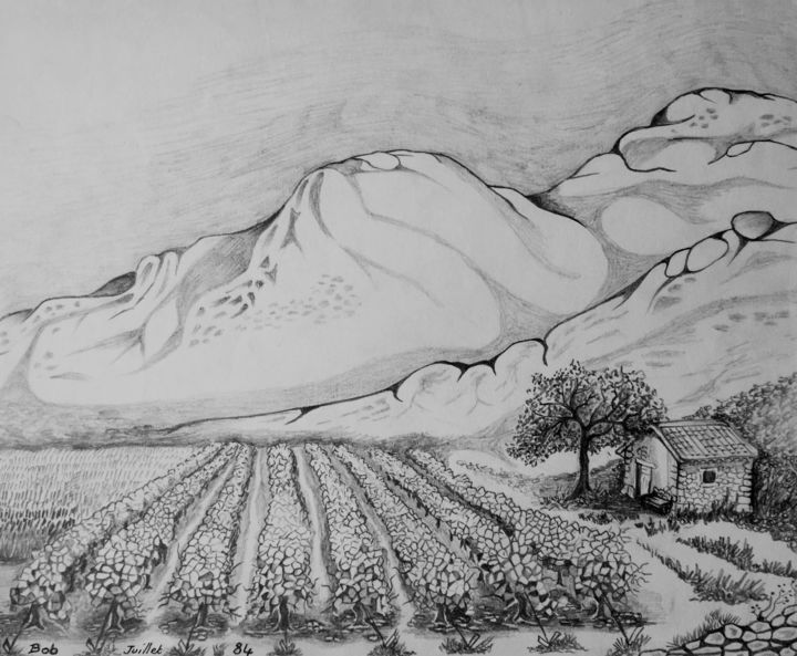 Dessin intitulée "Vigne en Provence.j…" par Bob, Œuvre d'art originale, Crayon
