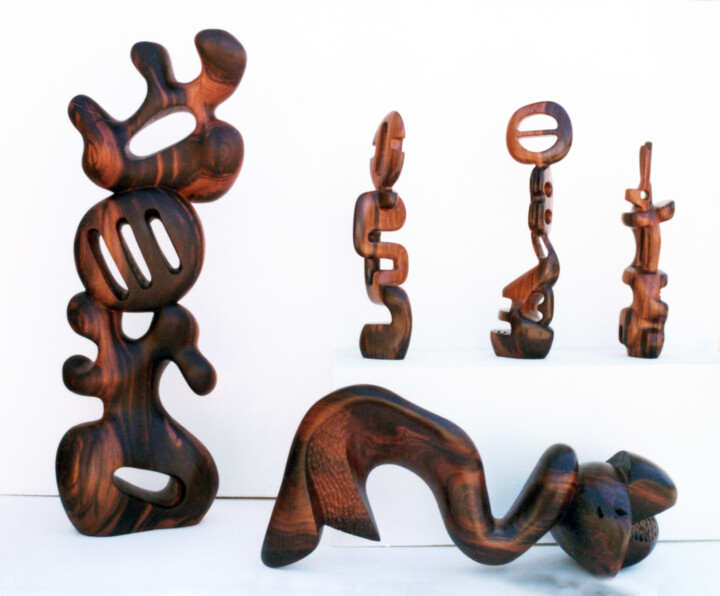 Sculptuur getiteld "Sonoran ironwood ca…" door Robert Winslow, Origineel Kunstwerk, Hout