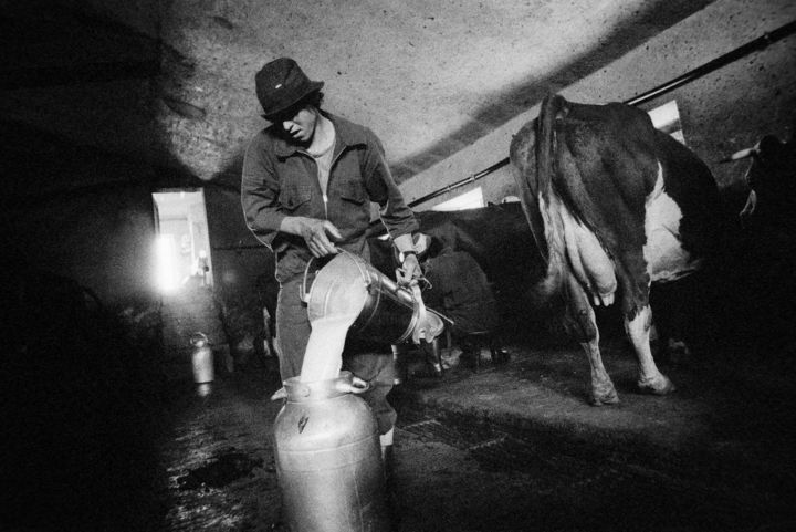 Fotografia intitolato "latte versato" da Roberto Ferrero, Opera d'arte originale, fotografia a pellicola