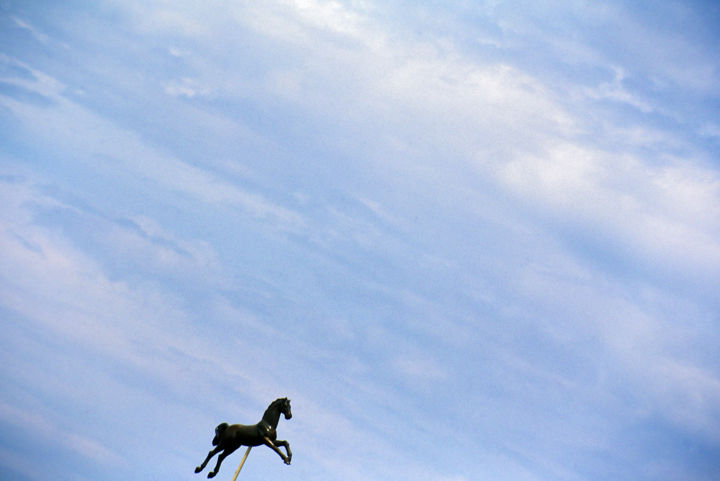 Photographie intitulée "cavallo della camar…" par Roberto Ferrero, Œuvre d'art originale, Photographie argentique