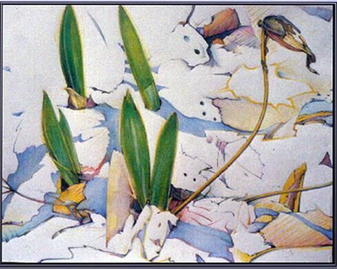 Drawing titled "Lady Slippers -The…" by Robin Mols, Original Artwork