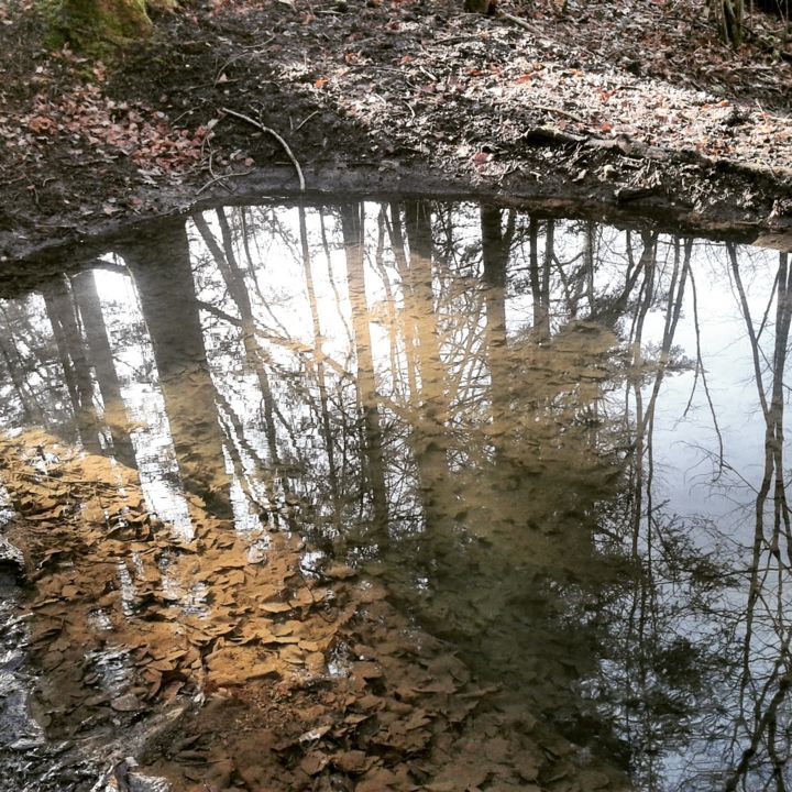 Photography titled "The Puddle" by Robin Tournu, Original Artwork, Non Manipulated Photography