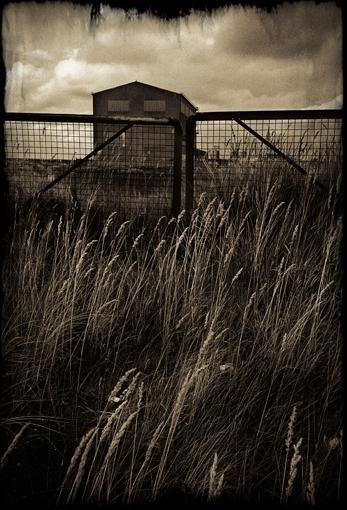 Fotografie getiteld "la grille" door Robin Santus, Origineel Kunstwerk