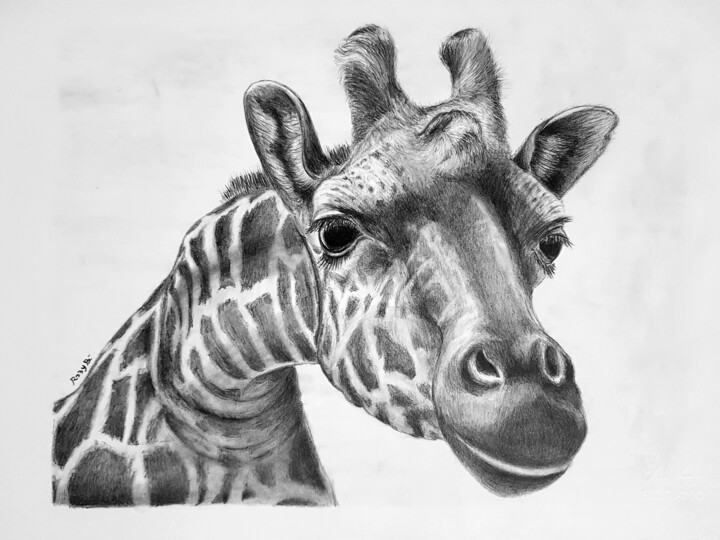 Drawing titled "Giraffa" by Roby Bí, Original Artwork, Graphite