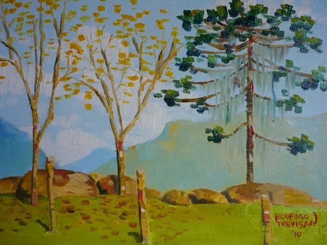 Pintura intitulada "Pé da montanha" por Rodrigo Trevisan, Obras de arte originais,