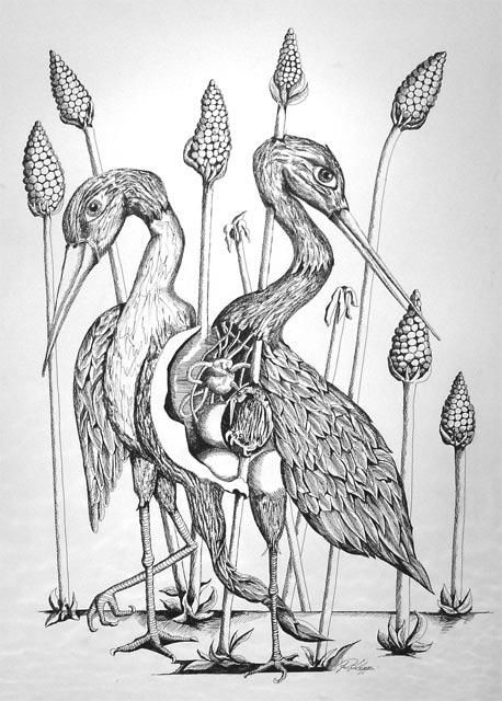 Dessin intitulée "grippe aviaire" par Rodykop, Œuvre d'art originale