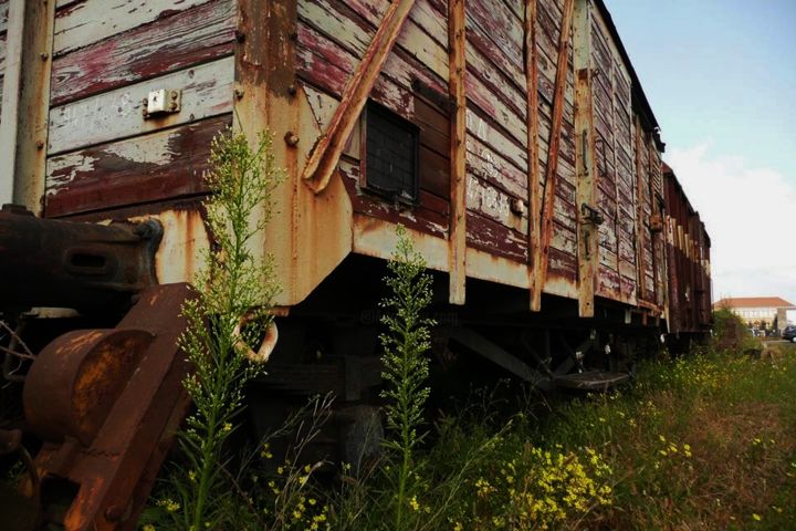 Fotografía titulada "Trein 2" por Roeland Croket, Obra de arte original