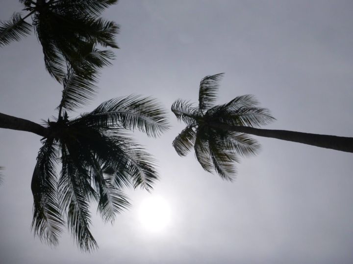 Photographie intitulée "Onder palmbomen" par Roeland Croket, Œuvre d'art originale