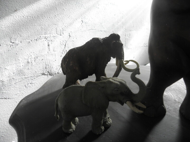 Photographie intitulée "SOLITUDES ELEPHANTE…" par Roger Ernest Jankow, Œuvre d'art originale, Photographie numérique
