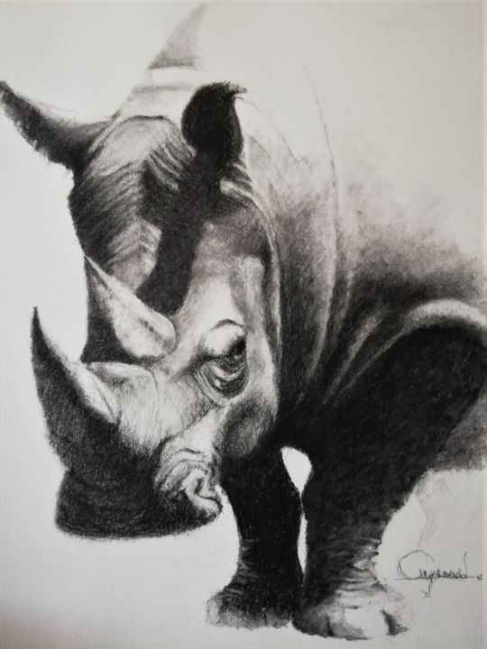 Desenho intitulada "Rhino 2" por Roland Guyomard, Obras de arte originais, Carvão