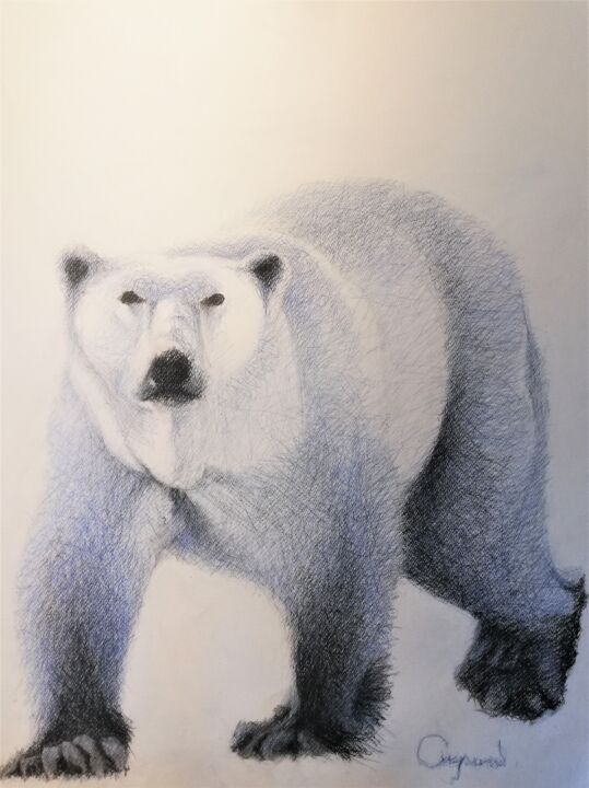Drawing titled "Ours" by Roland Guyomard, Original Artwork, Charcoal