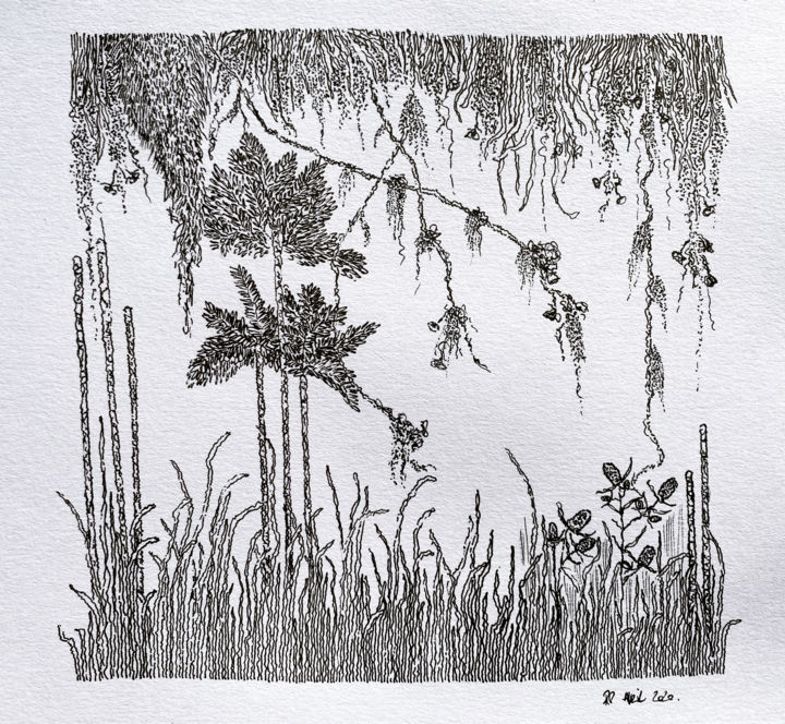 Dessin intitulée "Forêt tropicale" par Romain Pilato, Œuvre d'art originale, Encre