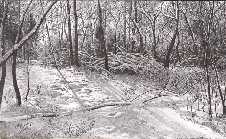 Peinture intitulée "Дорога в зимний лес" par Roman Malyshev, Œuvre d'art originale, Graphite