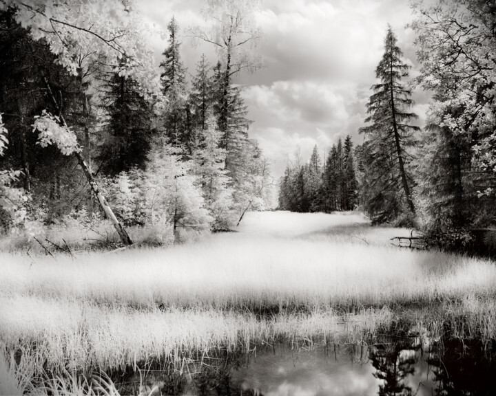 Photography titled "Old river" by Romeo Koitmäe, Original Artwork, Analog photography