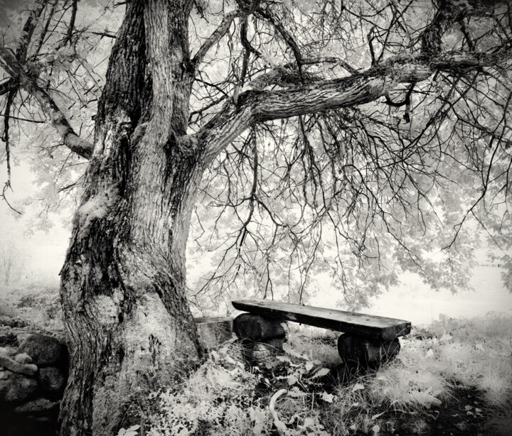Fotografie getiteld "Bench" door Romeo Koitmäe, Origineel Kunstwerk, Film fotografie
