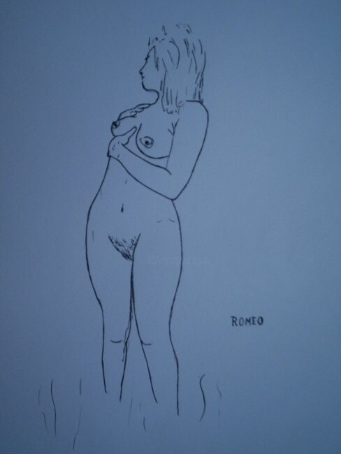 Dibujo titulada "Desenhos_092.jpg" por Romeo Zanchett, Obra de arte original