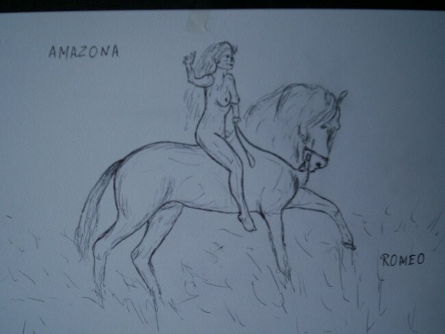 Desenho intitulada "AMAZONA CAVALGANDO" por Romeo Zanchett, Obras de arte originais