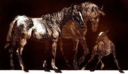 Dessin intitulée "Horse Family (Engra…" par Raileanu Romeo, Œuvre d'art originale