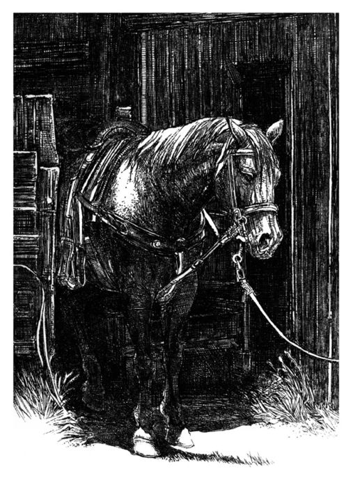 Рисунок под названием "Horse (Engraving-Aq…" - Raileanu Romeo, Подлинное произведение искусства
