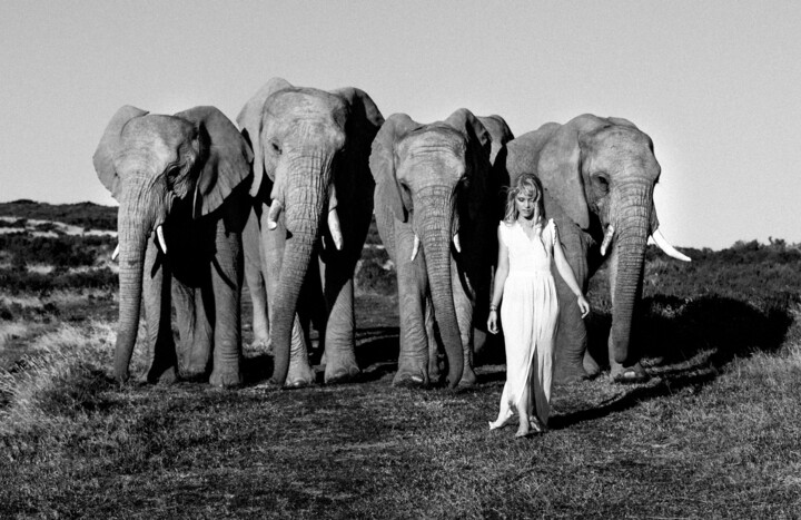 Photographie intitulée "Wild Life, South Af…" par Romy Maxime, Œuvre d'art originale, Photographie numérique