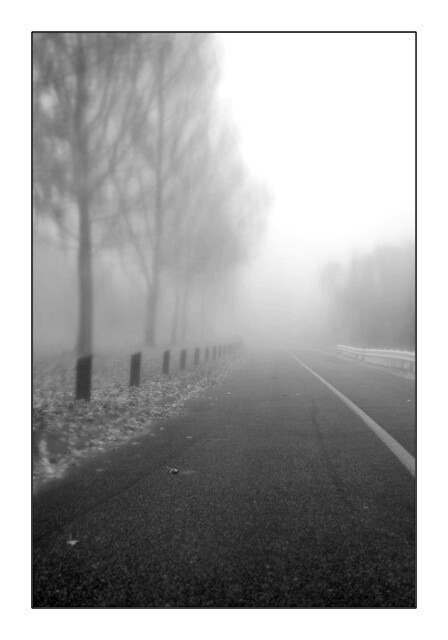 Photographie intitulée "Fog" par Ron Pfister, Œuvre d'art originale